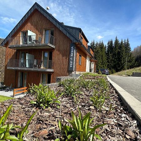 Apartmány u Lesa Dolní Morava Esterno foto