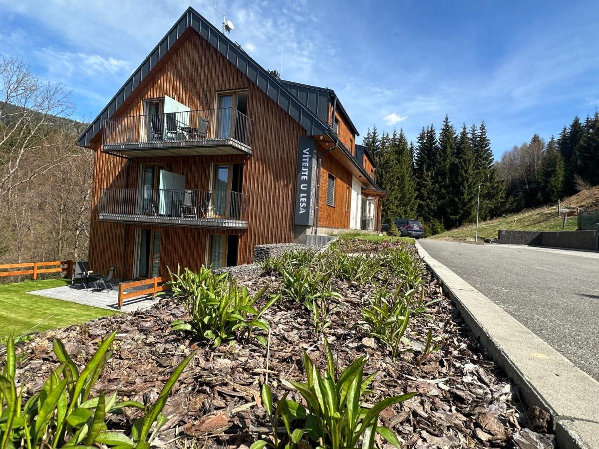 Apartmány u Lesa Dolní Morava Esterno foto