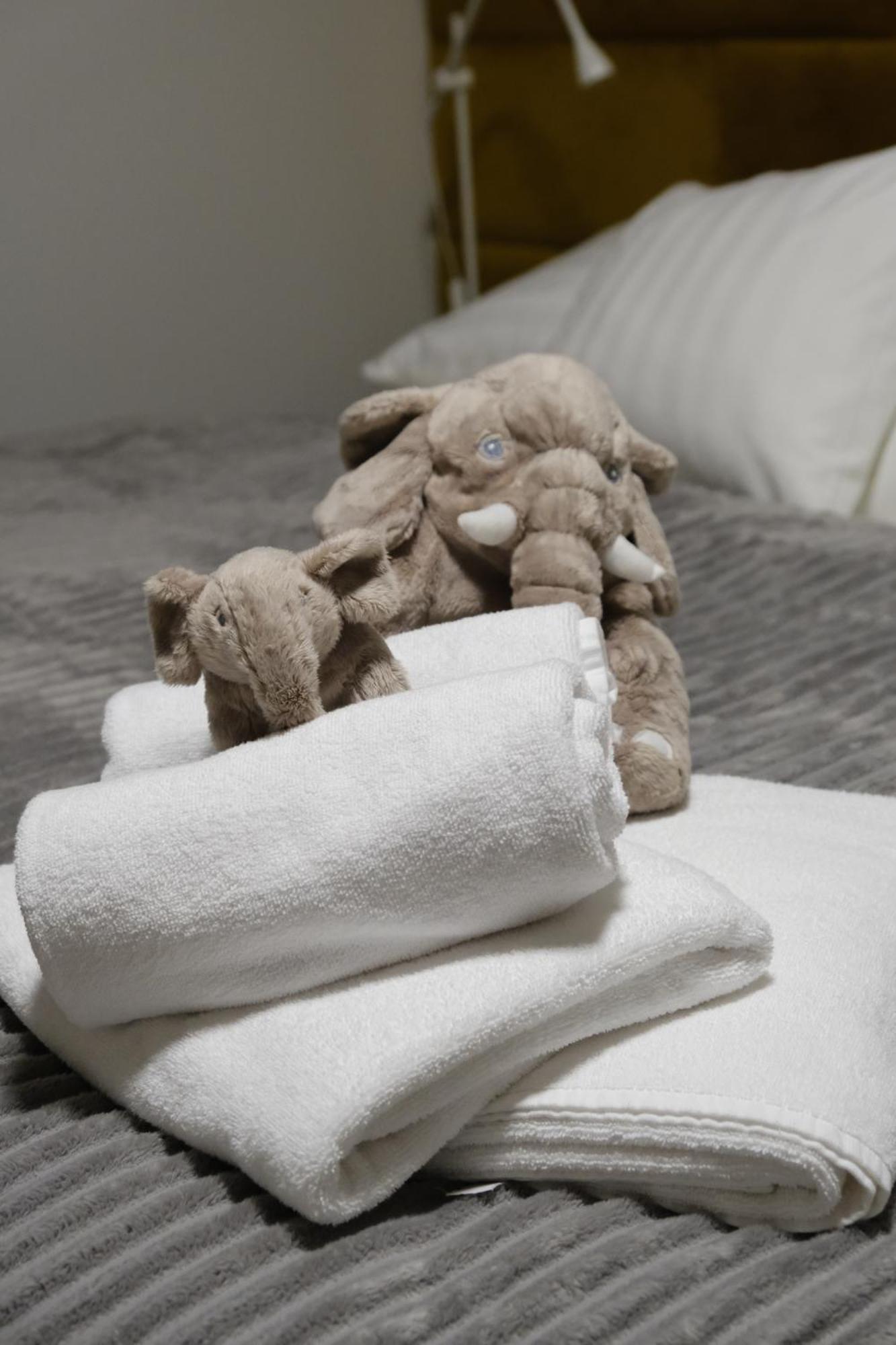 Apartmány u Lesa Dolní Morava Camera foto