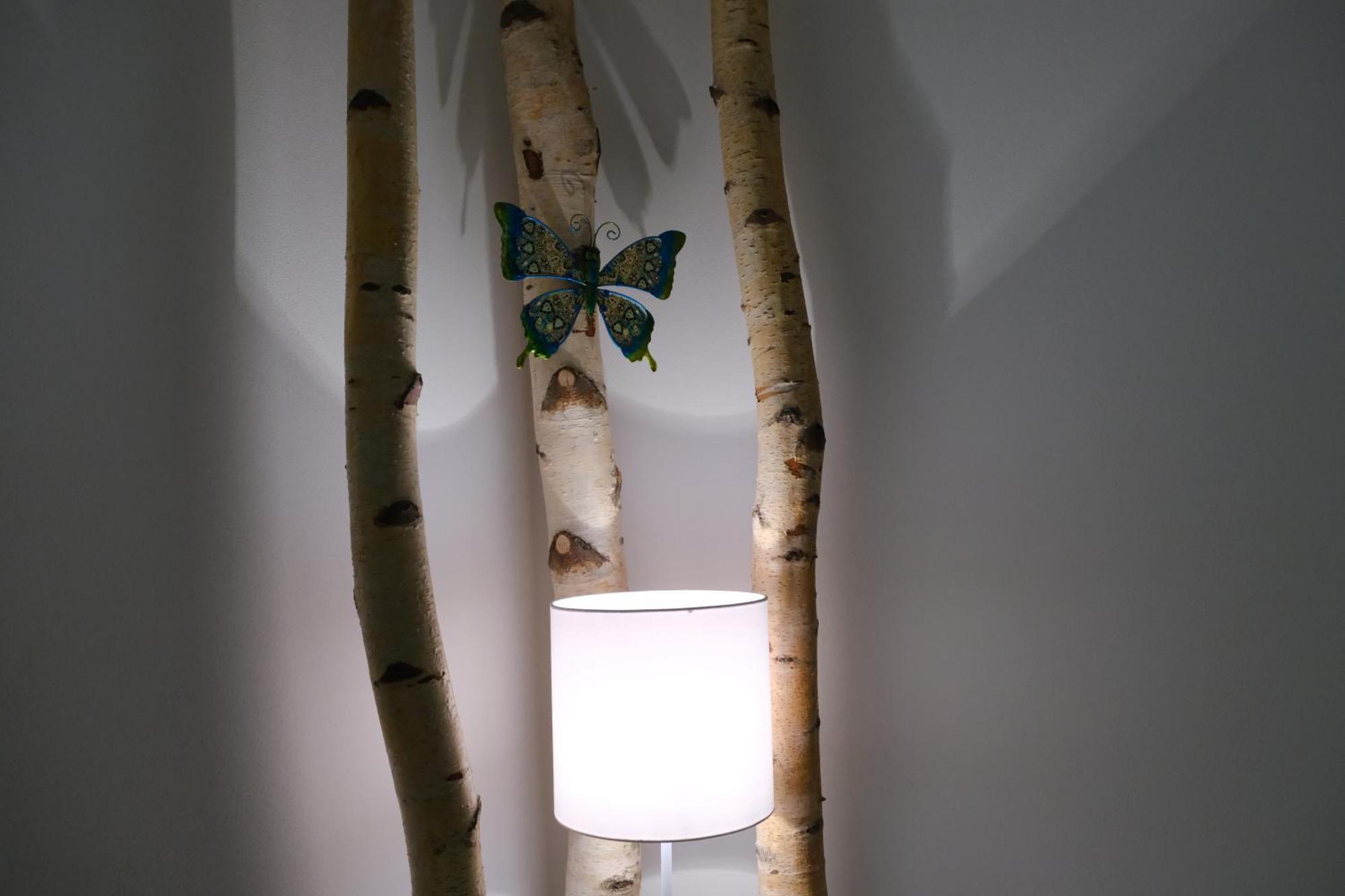 Apartmány u Lesa Dolní Morava Camera foto